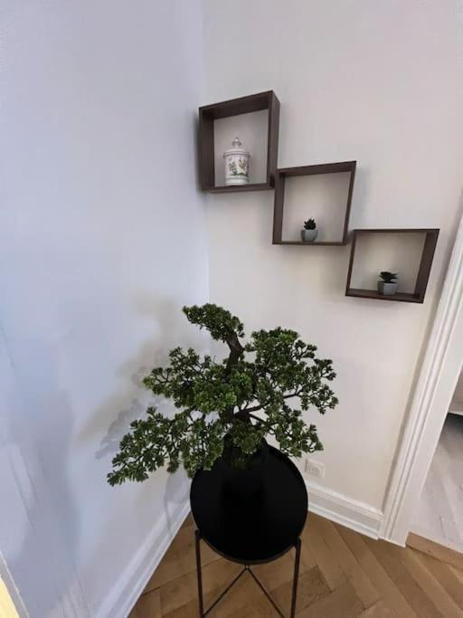 Esprit Vosges - 3 Chambres De Charme Miluza Zewnętrze zdjęcie